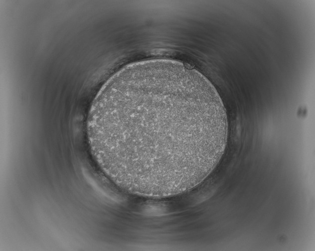 X0000113140263200910021446