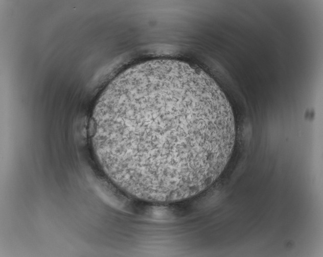 X0000113140264200910021446