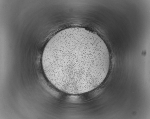 X0000113140265200910021446