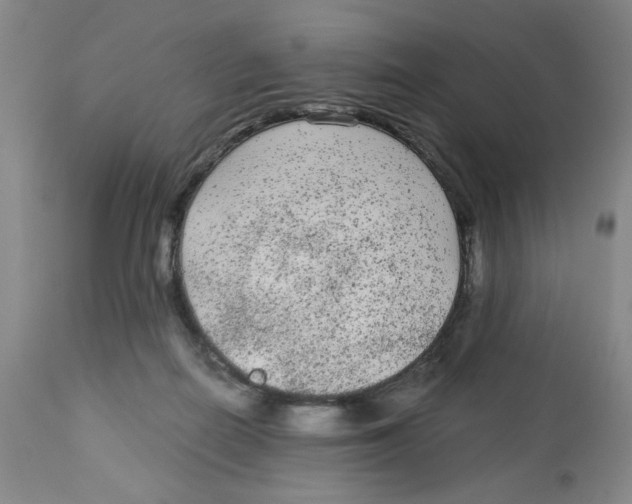 X0000113140266200910021446