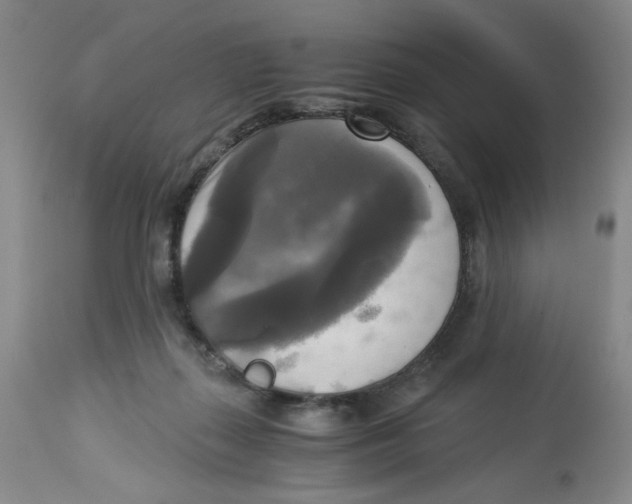 X0000113140267200910021446