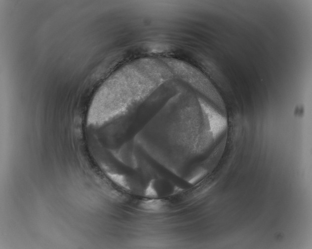 X0000113140269200910021446