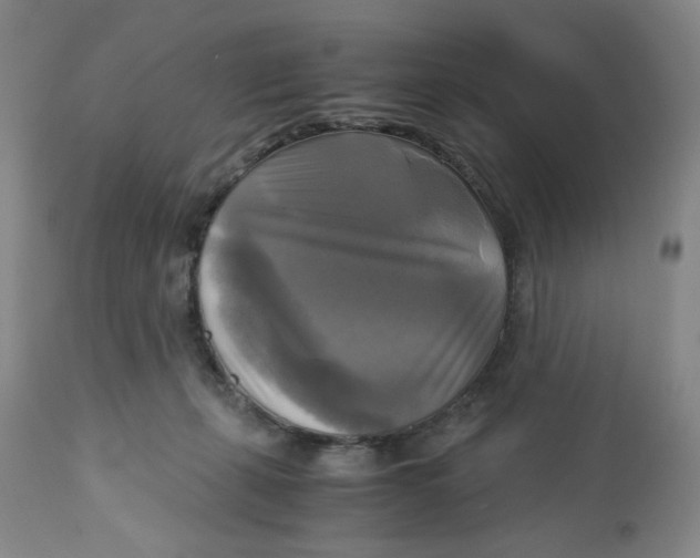 X0000113140271200910021446