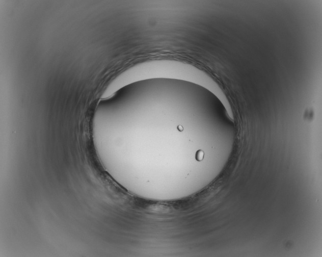 X0000113140272200910021446