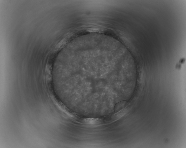 X0000113140273200910021446