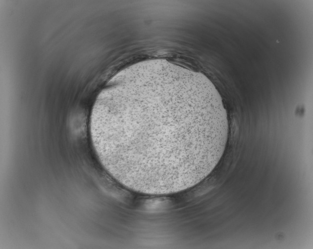 X0000113140274200910021446