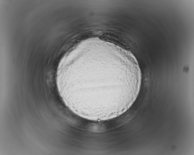 X0000113140275200910021446
