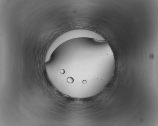 X0000113140276200910021446