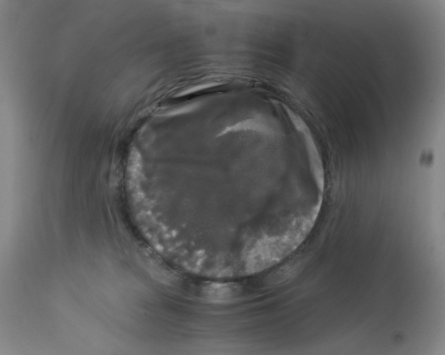 X0000113140277200910021446