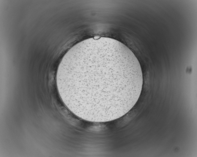 X0000113140278200910021446
