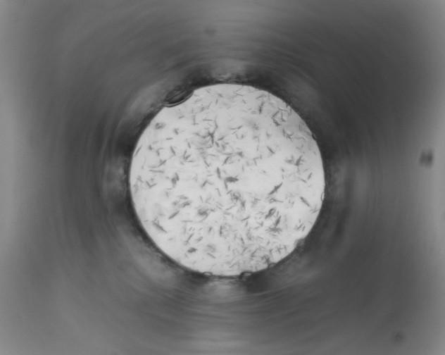 X0000113140280200910021447