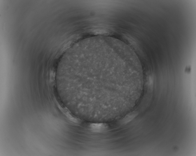 X0000113140281200910021447