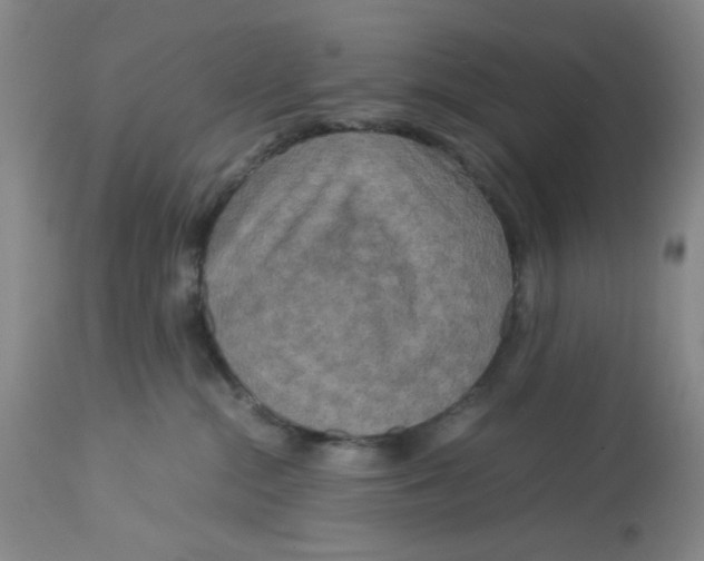 X0000113140284200910021447