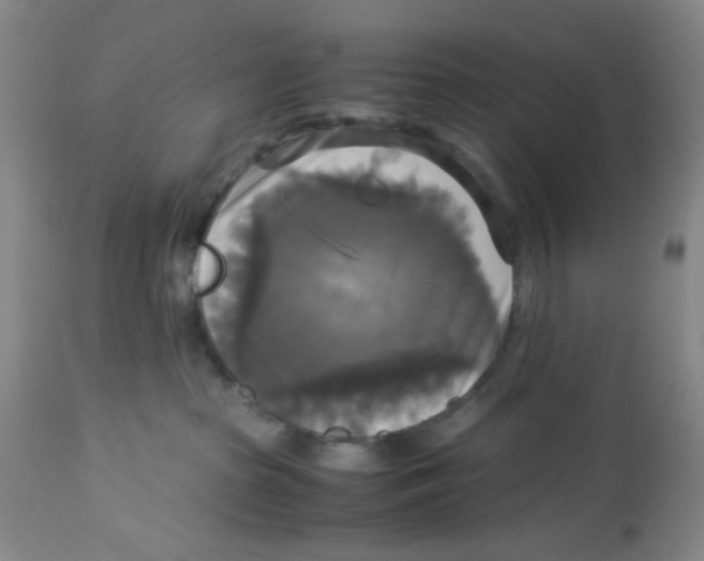X0000113140285200910021447