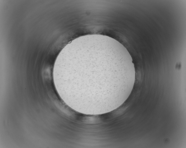 X0000113140286200910021447