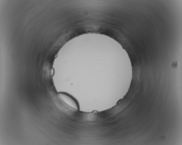 X0000113140287200910021447