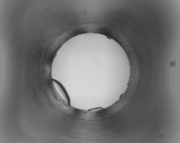 X0000113140288200910021447