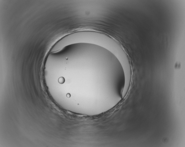 X0000113140289200910021446