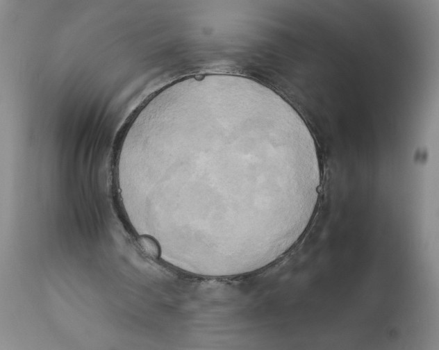 X0000113140290200910021446