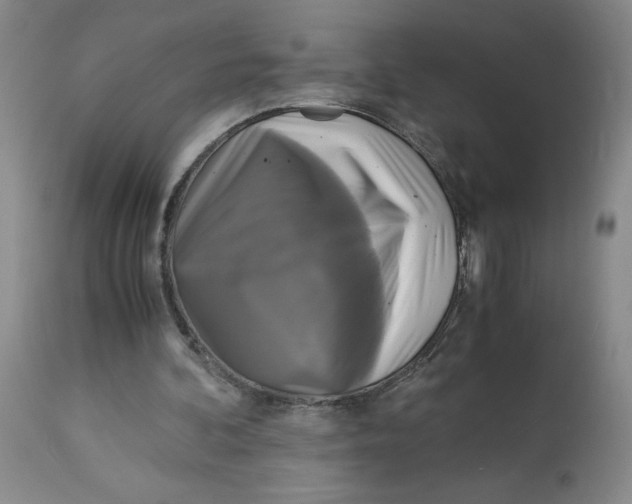 X0000113140292200910021446