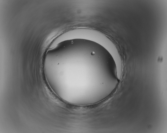X0000113140293200910021446