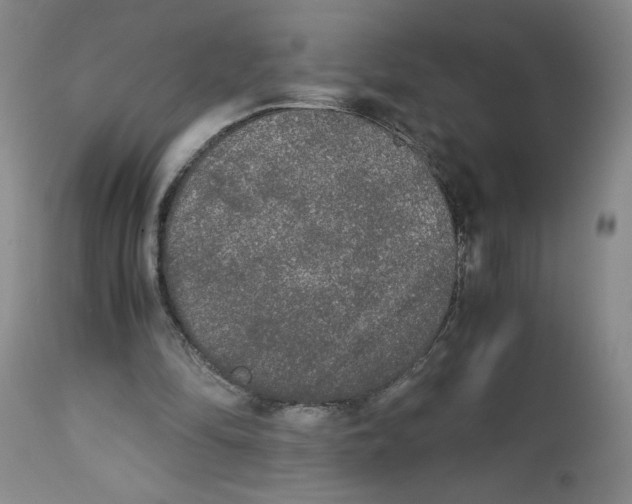 X0000113140294200910021446