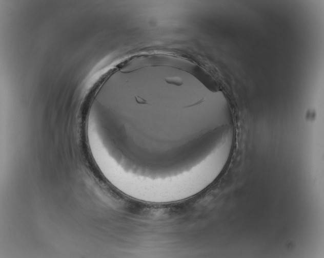 X0000113140295200910021446