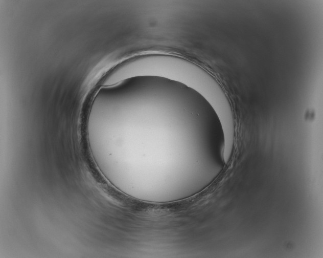 X0000113140296200910021446