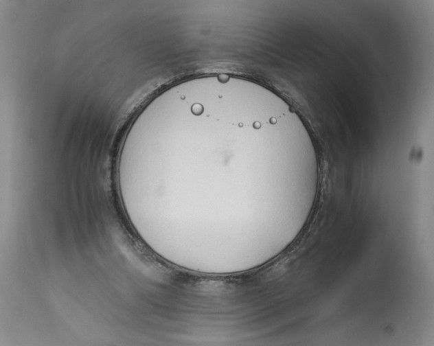 X0000113140298200910021446