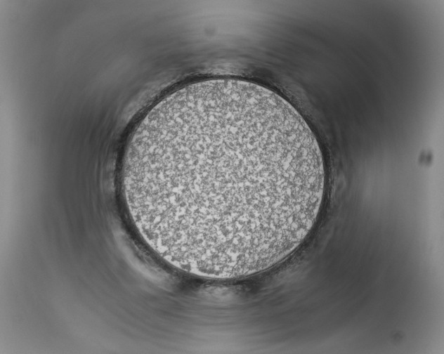 X0000113140299200910021446