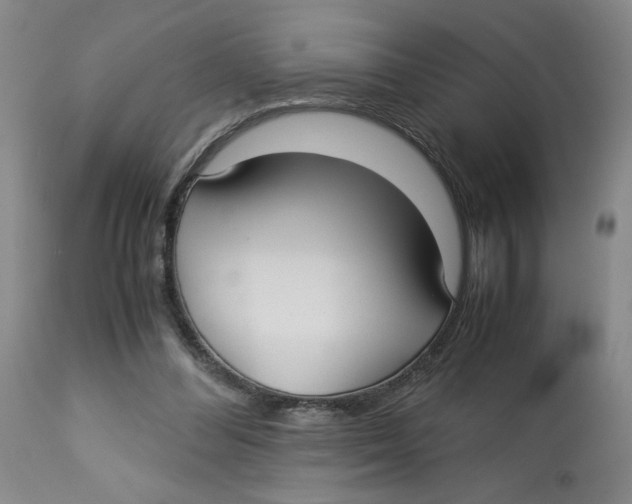 X0000113140300200910021446