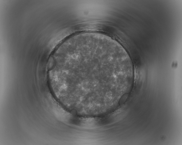 X0000113140301200910021446