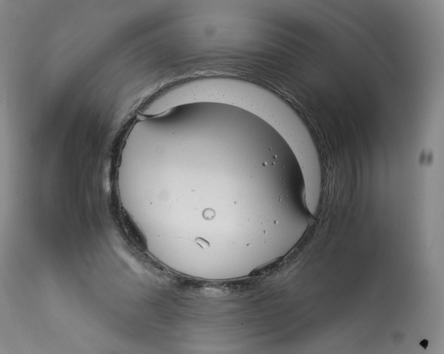 X0000113140302200910021446