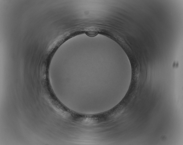 X0000113140303200910021446