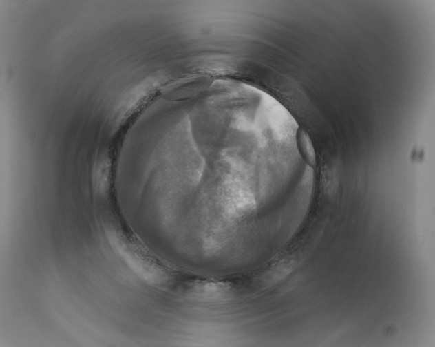 X0000113140304200910021446