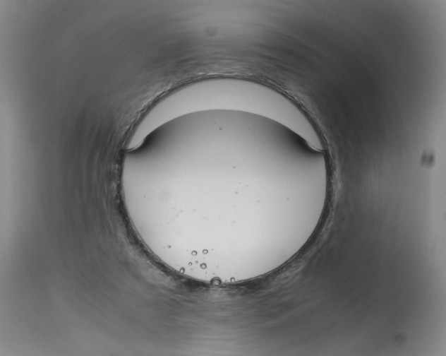 X0000113140305200910021446
