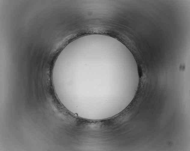 X0000113140306200910021446