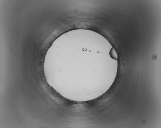 X0000113140307200910021446
