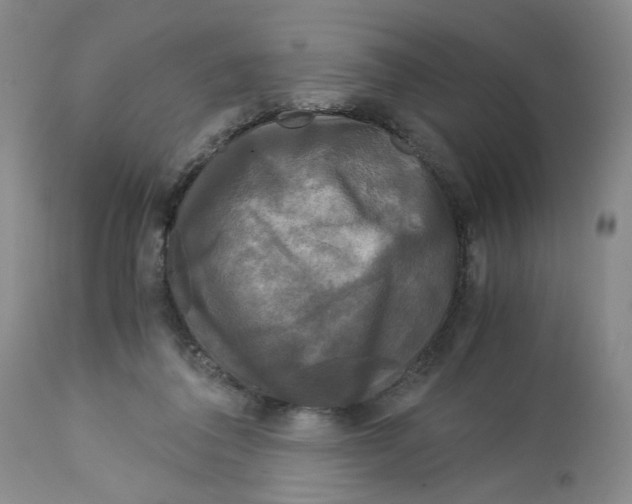 X0000113140308200910021446