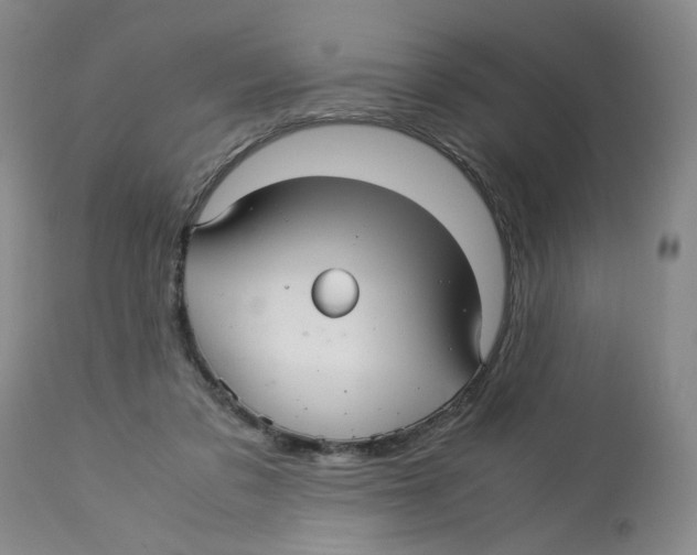 X0000113140309200910021446