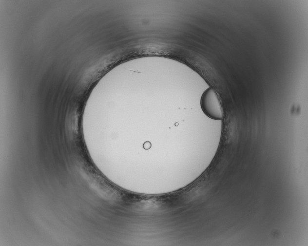 X0000113140310200910021446