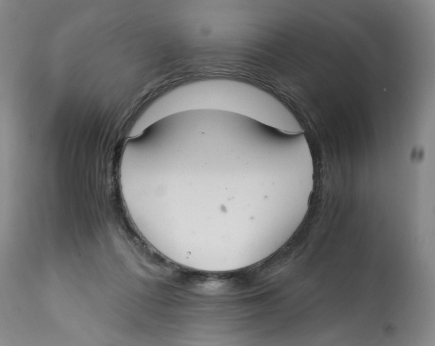 X0000113140312200910021446