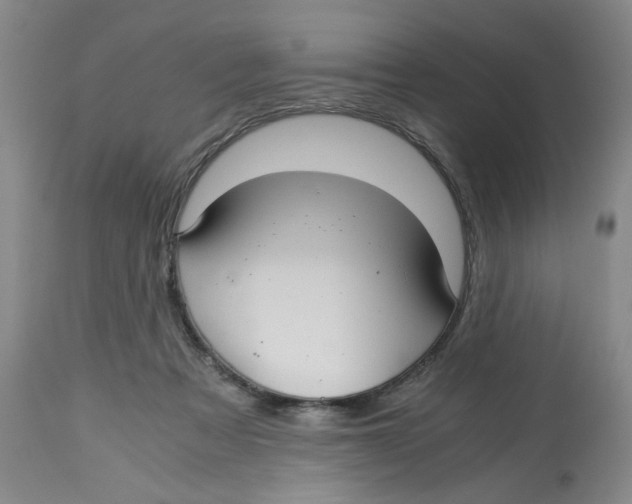 X0000113140313200910021446