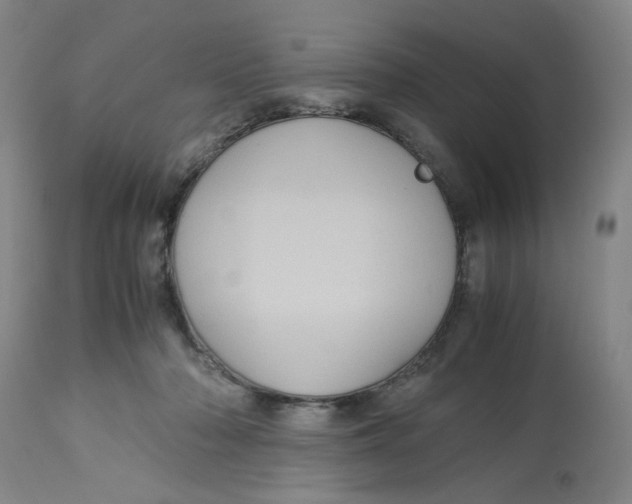 X0000113140318200910021446