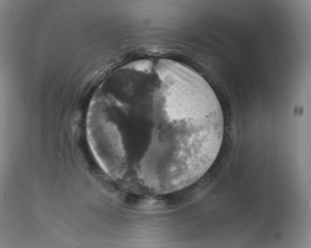 X0000113140319200910021446