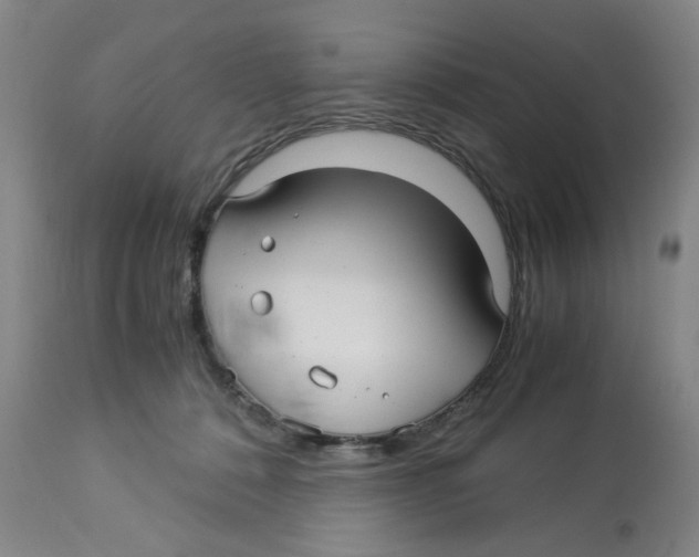 X0000113140320200910021446