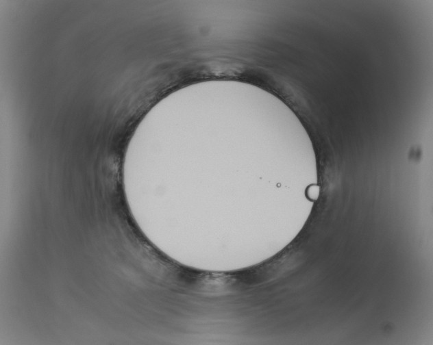 X0000113140321200910021446