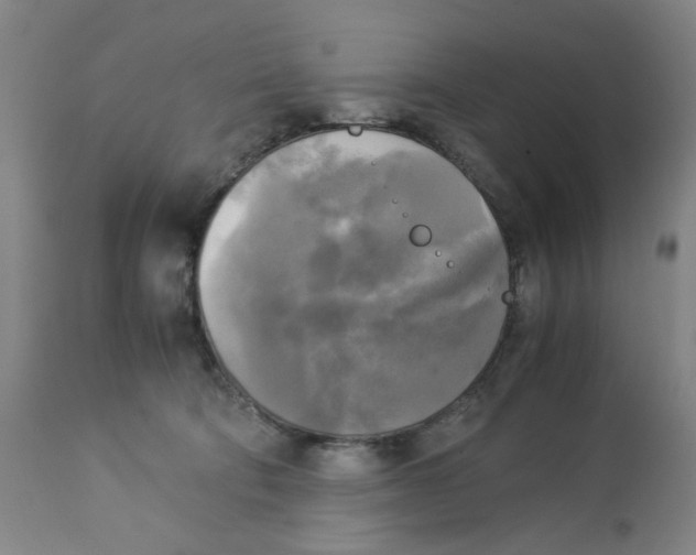 X0000113140322200910021446