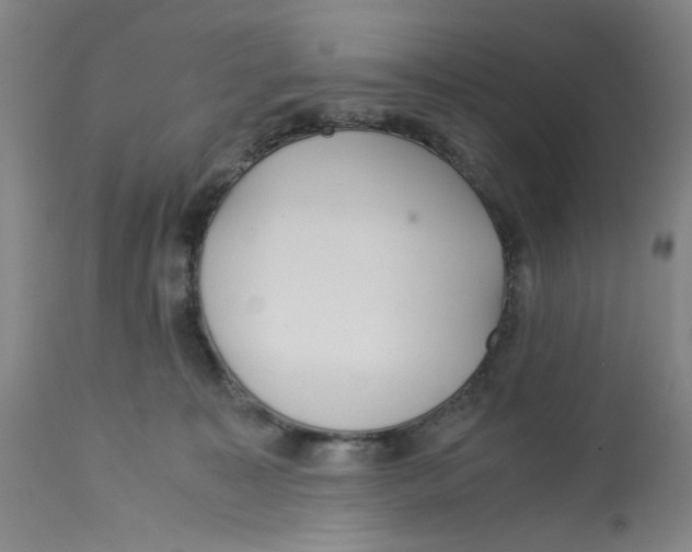 X0000113140323200910021446