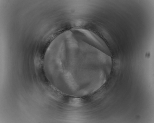 X0000113140324200910021445